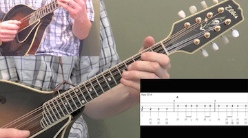 Nine Pound Hammer Beginner Mandolin