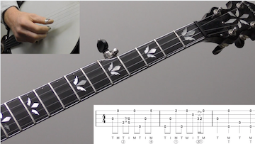 Bluegrass Banjo Tag Lick #2